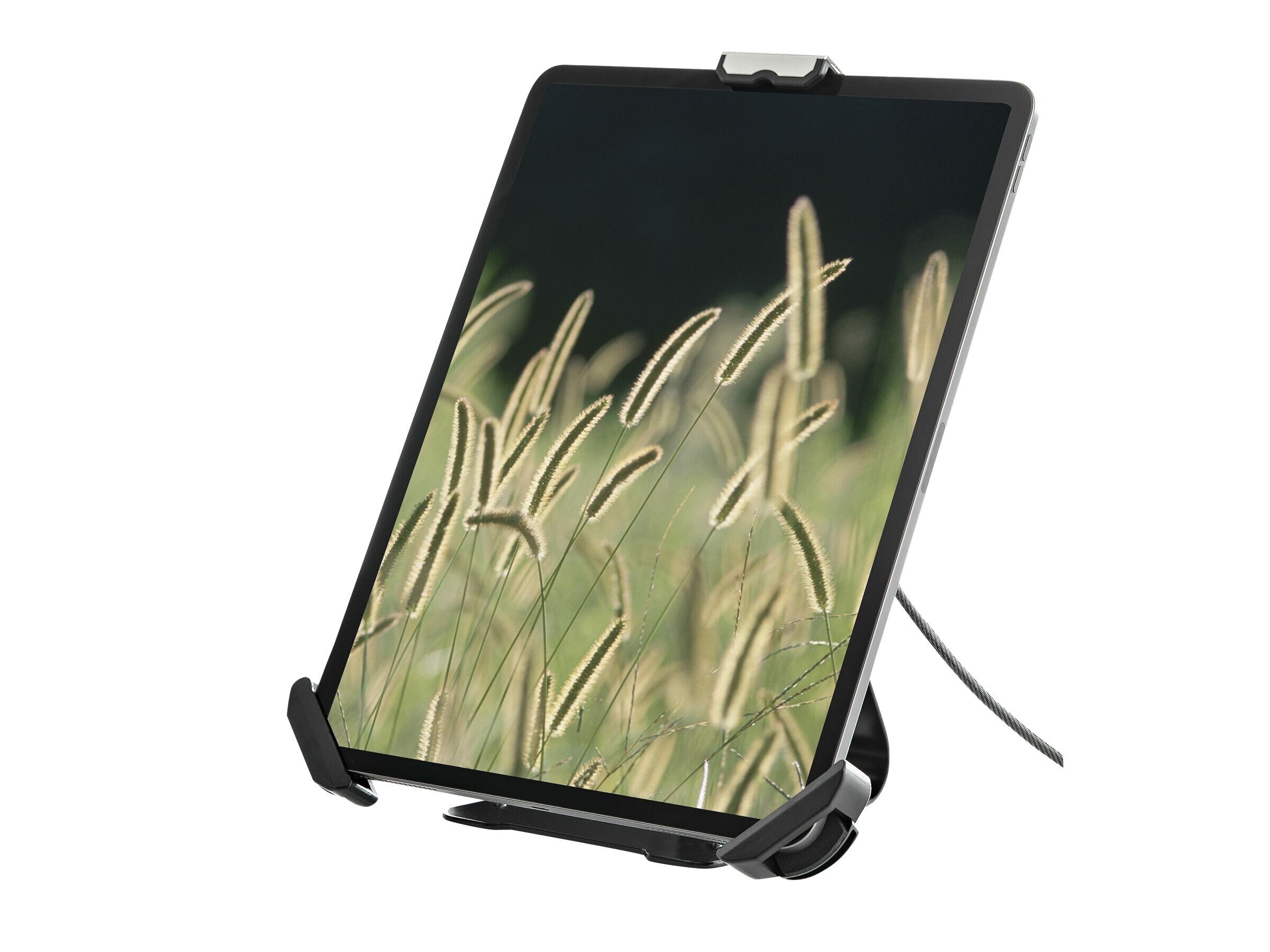StarTech.com Sichere Tablet-Halterung mit K-Slot-Kabelschloss - iPad Ständer für 7,9 -13 Zoll Tablets mit Diebstahlsicherung- Universell verstellbarer Tablet Tischständer (SECTBLTDT)