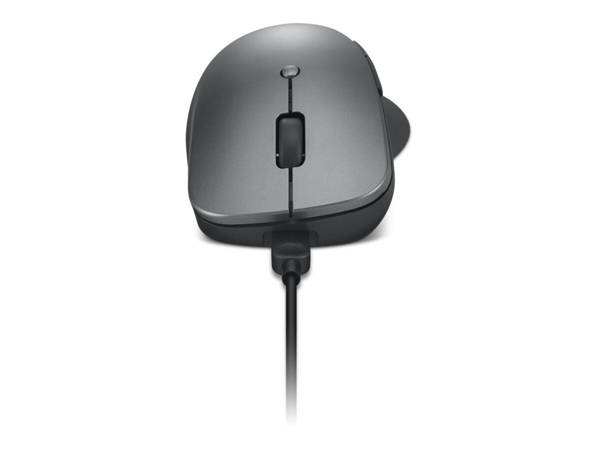 Lenovo Professional - Maus - ergonomisch - optisch