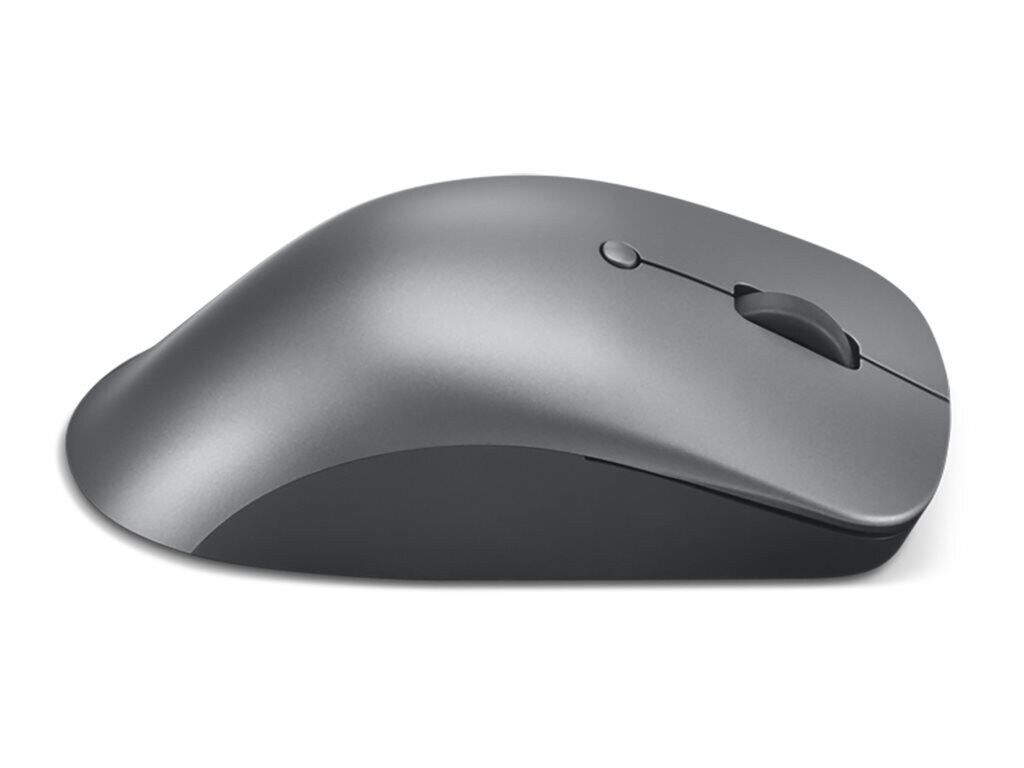 Lenovo Professional - Maus - ergonomisch - optisch